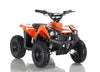 New Electric - APOLLO VOLT 500W - Mini Youth ATV