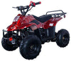 New Vitacci HAWK 110 - 110cc Youth Fully Automatic ATV