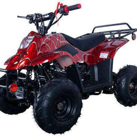 New Vitacci HAWK 110 - 110cc Youth Fully Automatic ATV