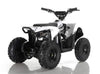 New Electric - APOLLO VOLT 500W - Mini Youth ATV