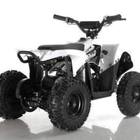 New Electric - APOLLO VOLT 500W - Mini Youth ATV