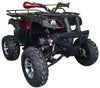 New Vitacci COUGAR UT-200 - 169cc Utility Adult ATV