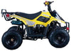 New Vitacci HAWK 110 - 110cc Youth Fully Automatic ATV