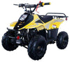 New Vitacci HAWK 110 - 110cc Youth Fully Automatic ATV