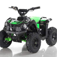 New Electric - APOLLO VOLT 500W - Mini Youth ATV
