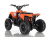 New Electric - APOLLO VOLT 500W - Mini Youth ATV