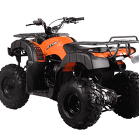 New Vitacci RIDER 200 EFI - 200cc Fuel Injected Fully Automatic Utility Adult/Teen ATV