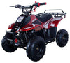 New Vitacci HAWK 110 - 110cc Youth Fully Automatic ATV