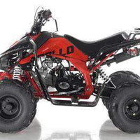 New 125cc - APOLLO BLAZER 7 - Youth Sport ATV w/Reverse - CA Carb Approved