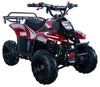 New Vitacci HAWK 110 - 110cc Youth Fully Automatic ATV