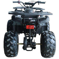 New Vitacci RIDER 10 DLX - 125cc Fully Automatic Youth ATV with Reverse