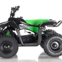 New Electric - APOLLO VOLT 500W - Mini Youth ATV