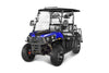 New 200cc - Vitacci Rover 200 EFI - 200cc Golf Cart UTV