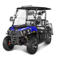 New 200cc - Vitacci Rover 200 EFI - 200cc Golf Cart UTV