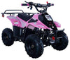 New Vitacci HAWK 110 - 110cc Youth Fully Automatic ATV
