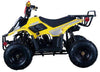 New Vitacci HAWK 110 - 110cc Youth Fully Automatic ATV