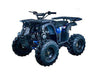 New Vitacci RIDER 9 - 125cc Fully Automatic Youth ATV with Reverse