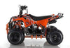NEW 110CC - APOLLO MINI COMMANDER 110 - Mini Youth ATV (No Reverse) - CA CARB Aprroved