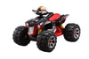 New Electric Kids Toy Ride-on ATV -  JS 318