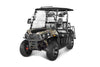 New 200cc - Vitacci Rover 200 EFI - 200cc Golf Cart UTV