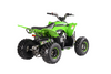 New Vitacci Pentora 125 EFI - 125cc Fuel Injected Youth ATV - Fully Auto with Reverse