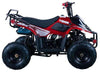 New Vitacci HAWK 110 - 110cc Youth Fully Automatic ATV
