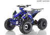 New 125cc - APOLLO BLAZER 9 - Fully Auto Youth Sport ATV with Reverse