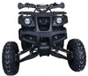 New Vitacci COUGAR UT-200 - 169cc Utility Adult ATV