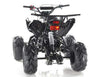 New 125cc - APOLLO BLAZER 7 - Youth Sport ATV w/Reverse - CA Carb Approved