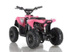 New Electric - APOLLO VOLT 500W - Mini Youth ATV