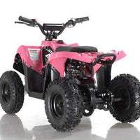 New Electric - APOLLO VOLT 500W - Mini Youth ATV