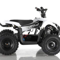 New Electric - APOLLO VOLT 500W - Mini Youth ATV