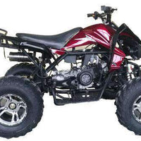 New Vitacci Cougar Sport 200 - Adult 169cc Sport ATV