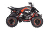 New Vitacci PENTORA 200 EFI - 200cc Fuel Injected Teen/Adult Size ATV