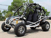 New Adult Go Kart 200cc - Dongfang 200GKA - Free Shipping Go karts Wholesale ATV 