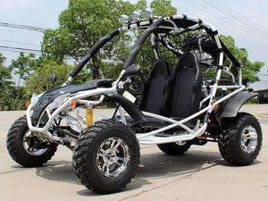 New Adult Go Kart 200cc - Dongfang 200GKA - Free Shipping Go karts Wholesale ATV 