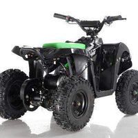 New Electric - APOLLO VOLT 500W - Mini Youth ATV