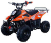New Vitacci HAWK 110 - 110cc Youth Fully Automatic ATV