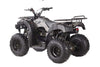 New Vitacci RIDER 200 EFI - 200cc Fuel Injected Fully Automatic Utility Adult/Teen ATV