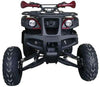 New Vitacci COUGAR UT-200 - 169cc Utility Adult ATV