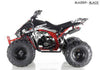 New 125cc - APOLLO BLAZER 9 - Fully Auto Youth Sport ATV with Reverse