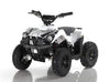 New Electric - APOLLO VOLT 500W - Mini Youth ATV
