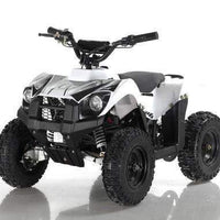 New Electric - APOLLO VOLT 500W - Mini Youth ATV