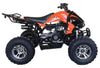 New Vitacci Cougar Sport 200 - Adult 169cc Sport ATV