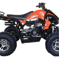 New Vitacci Cougar Sport 200 - Adult 169cc Sport ATV