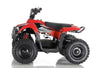 New Electric - APOLLO VOLT 500W - Mini Youth ATV