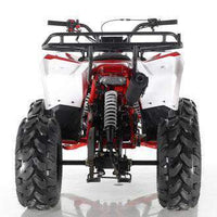 New 125cc APOLLO COMMANDER 125 - Fully Auto Youth ATV with Reverse