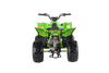 New Vitacci Pentora 125 EFI - 125cc Fuel Injected Youth ATV - Fully Auto with Reverse