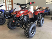 New Kids 110cc ATV - Coolster 3050B - Sport ATV - CA Carb Approved - Free Shipping atvs Wholesale ATV 