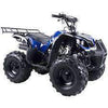 New Larger Youth - Coolster 3125XR8 - 125cc Kids ATV Utility - CA Carb Approved - Free Shipping atvs Wholesale ATV Blue 